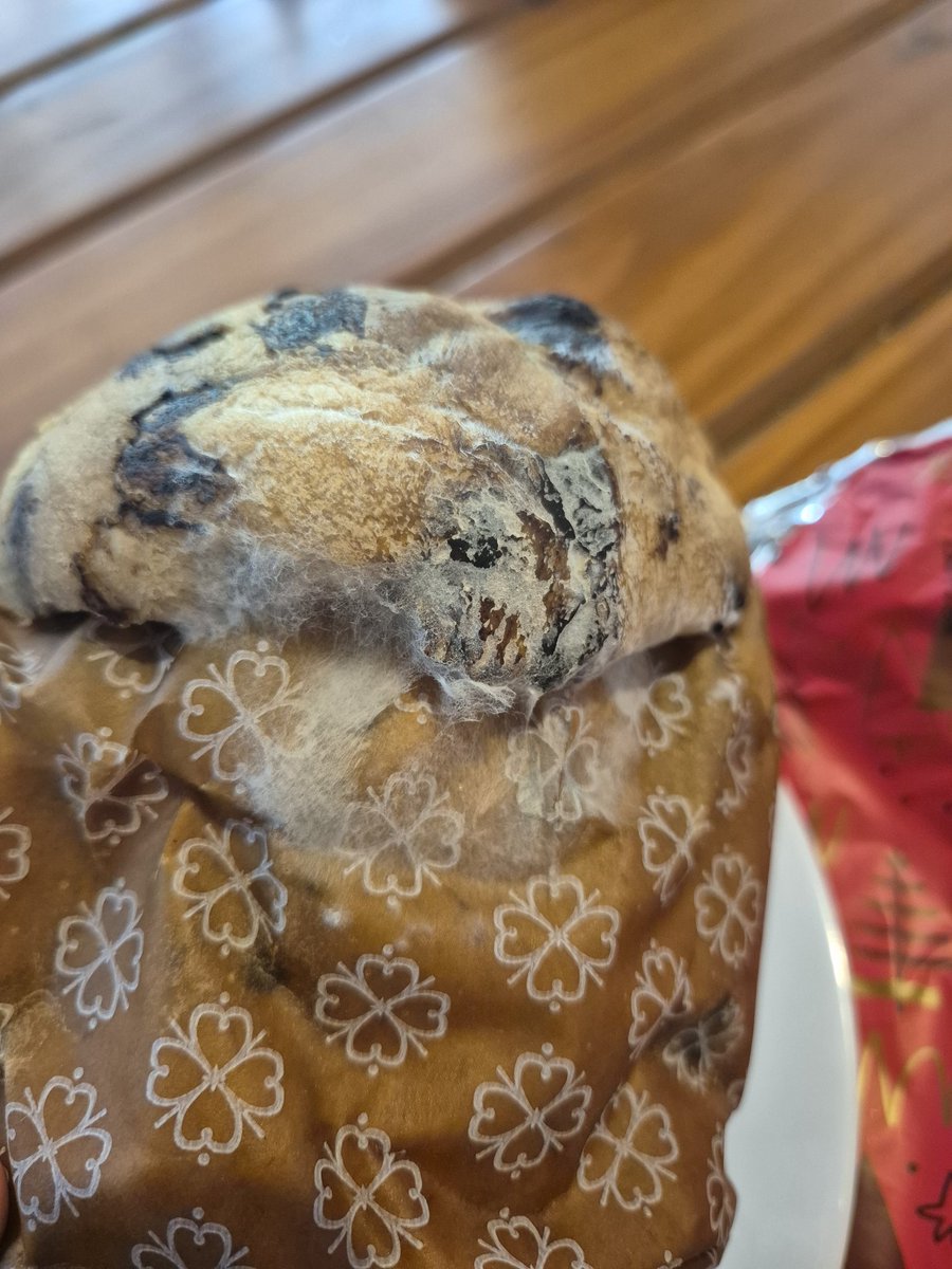 Silvia10 tweet media