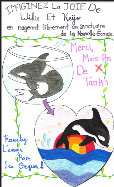 bayviewglenps1's tweet image. Our students at BGPS would like to see Wikie &amp;amp; Keijo free &amp;amp; swimming in a natural environment here in the whale sanctuary in Nova Scotia. They all agree that whales do not belong in tanks. @onevoiceanimal @yrdsb @CamilleBrunel @Mister_Regina @AgnesRunacher @ZoocheckCanada