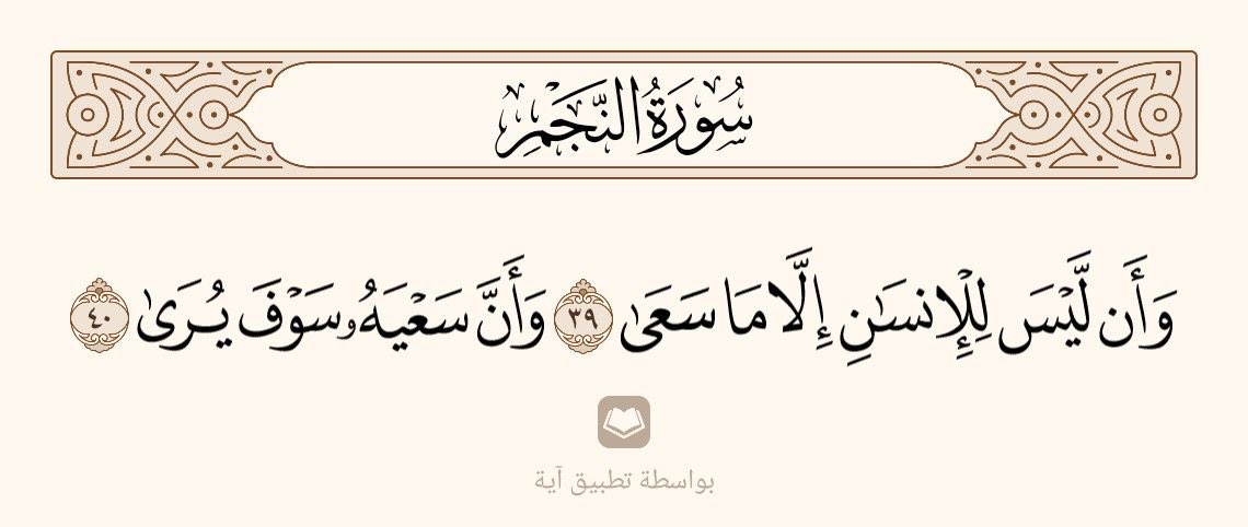 🌻 tweet media
