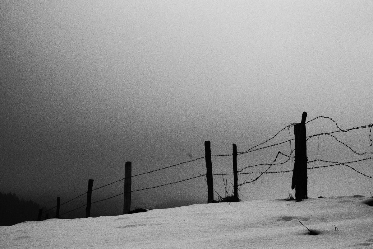 wrtlbrmft's tweet photo. @KatNica5 Hatte mir 2015 an einem trüben Februartag mal vorgenommen, zum Thema "Tannöd" am Originalschauplatz ("nur" die Film-Location - also nicht dort, wo das Verbrechen passiert ist) eine kleine Fotoserie zu shooten, und war mit dem Resultat durchaus zufrieden. #melancholie #swFoto https://t.co/ahvbjO30m6