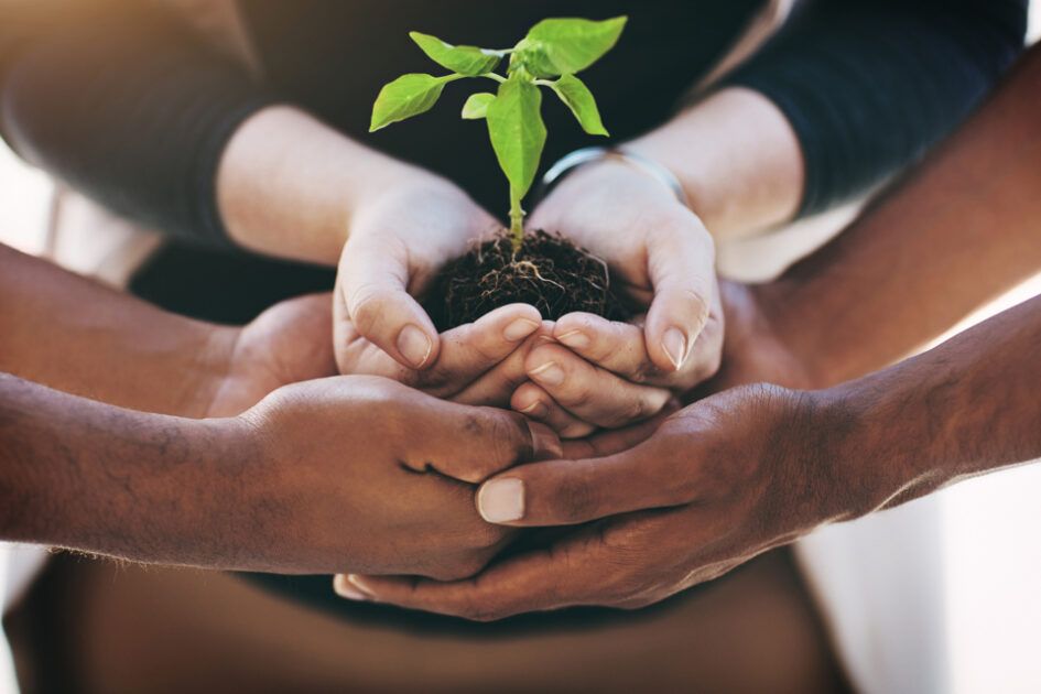 The future of UK pension funds is being shaped by ESG factors. Discover how these elements are transforming investment practices. #SustainableInvesting #Retirementplan #privatepensions fmp.me.uk/whatisesg