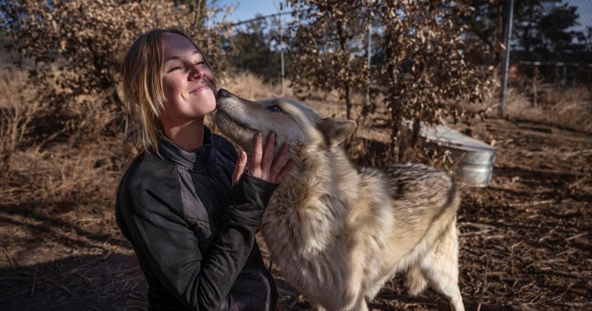 Albuquerque Journal tweet media