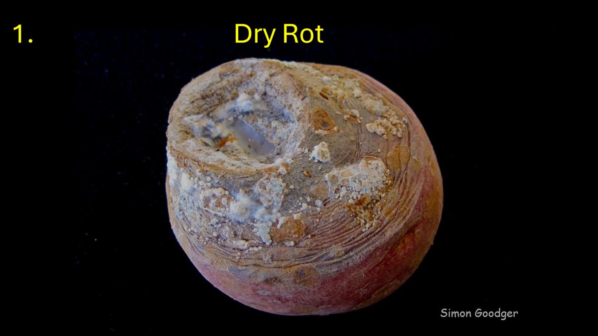 Simon Goodger tweet media