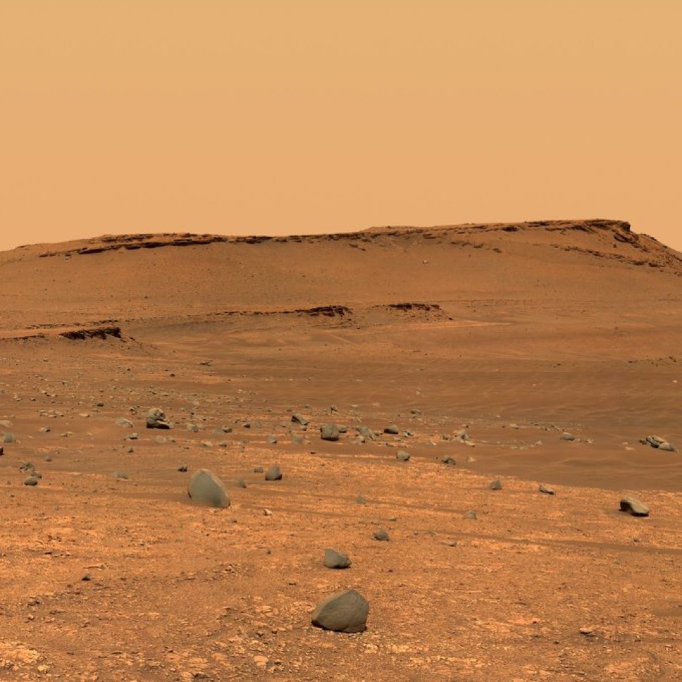 Ada Lluch tweet media