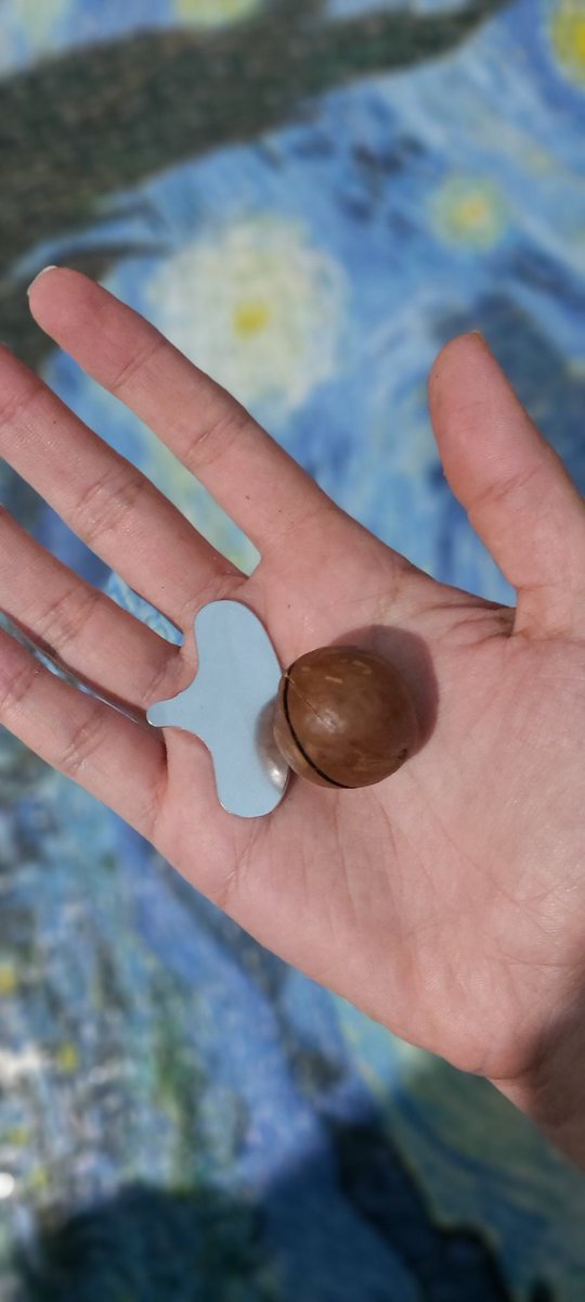 Fateme Sohanaki tweet media