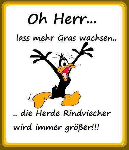 dirk_singen's tweet photo. https://t.co/k4efTg3rgy