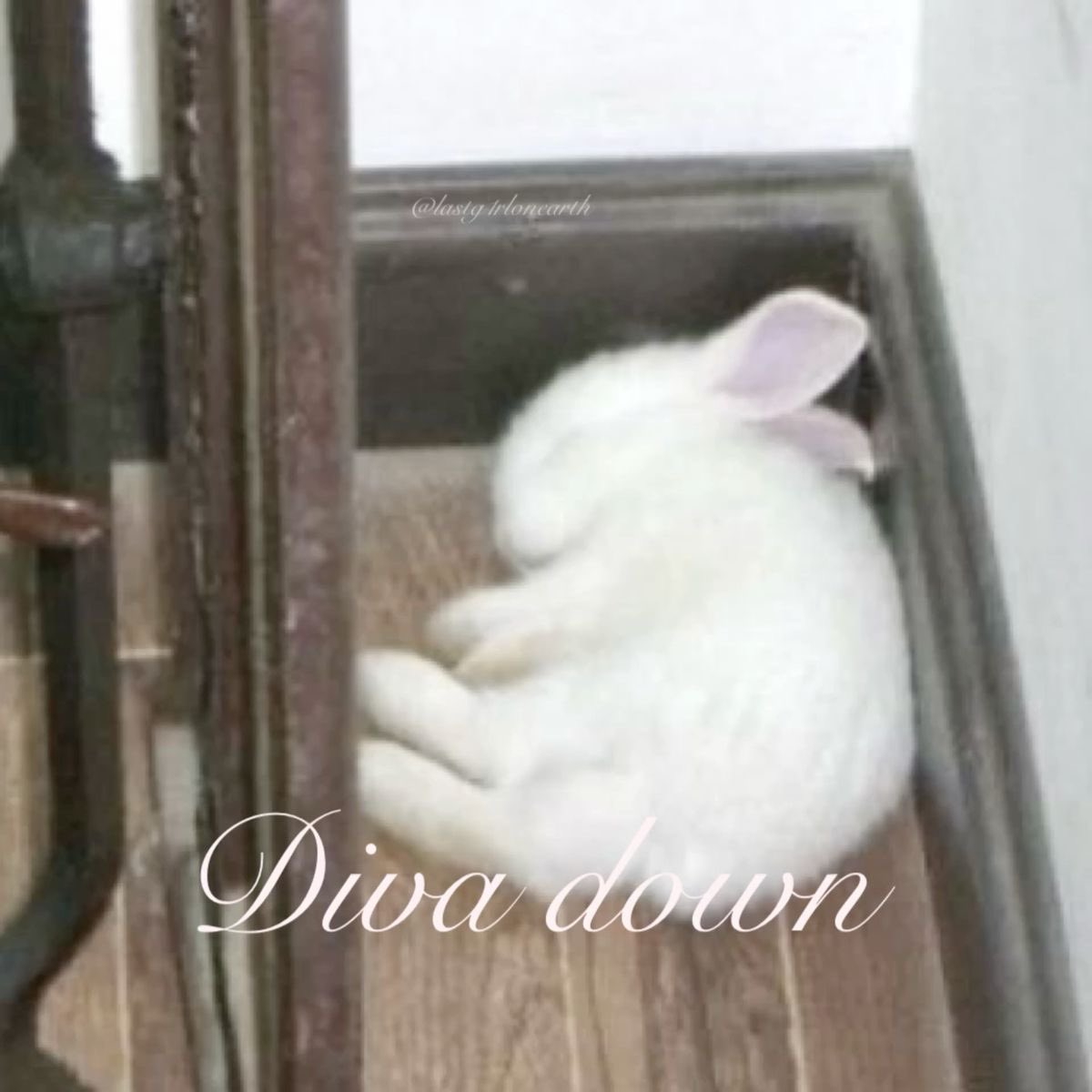 ︎ ︎ ︎ ︎ ︎ ︎ ︎ ︎ ︎ ︎ ︎ ︎ ︎ ︎ ︎ ︎ ︎ ︎ ︎ ︎ ︎ ︎ ︎ ︎ ︎ ︎ ︎ ︎ ︎ ︎ ︎ ︎ ︎ ︎ ︎ ︎ ︎