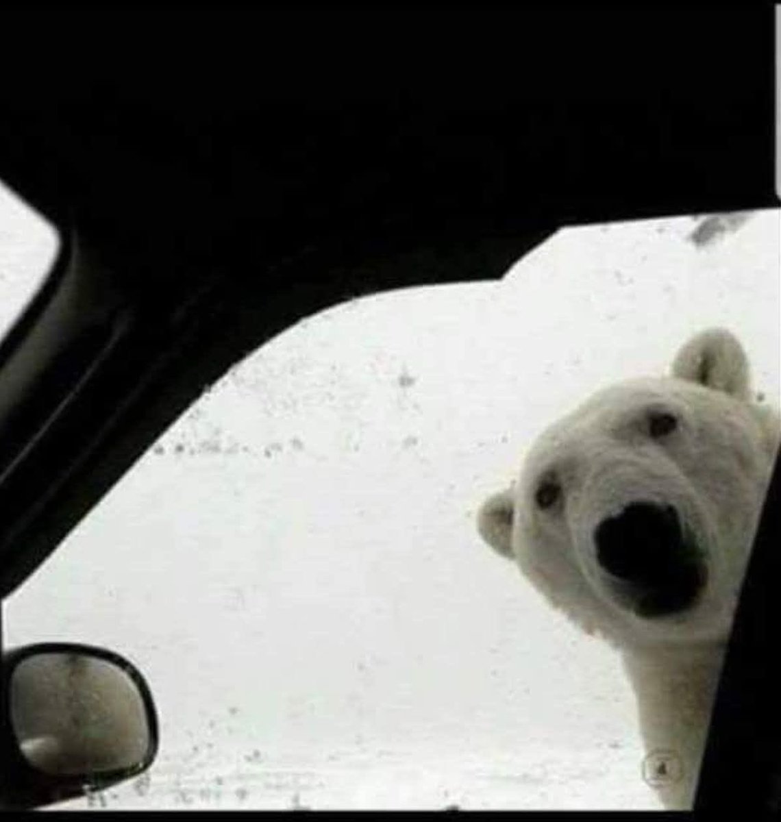 Keep away from South Tipperary!!!