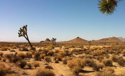 oh how i missed the sun,