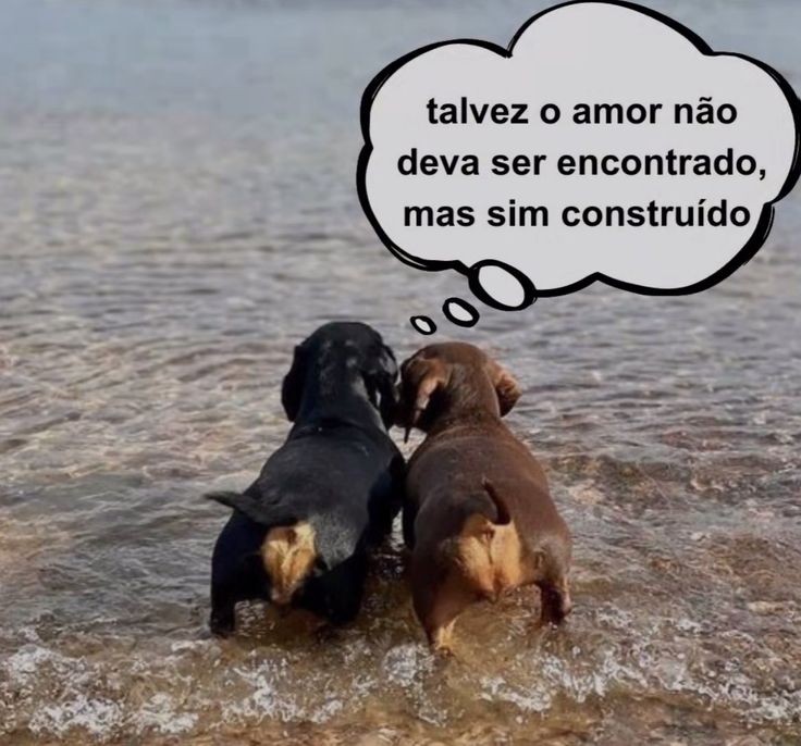 odeiootaco's tweet image. 