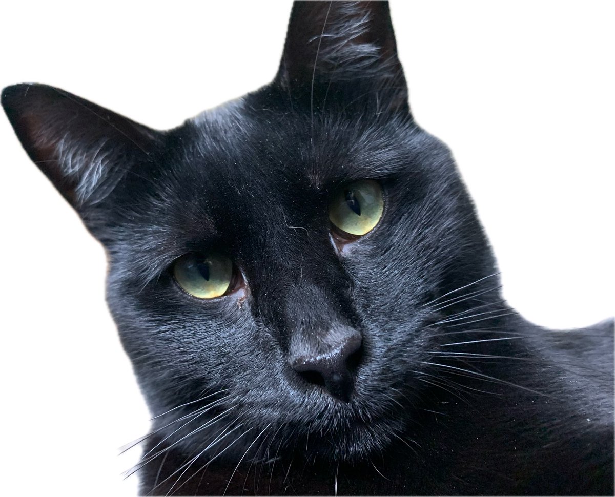 Après 6 mois de pause, on relance la chaîne et les lives sur Twitch dès demain après-midi ! On a grand hâte 🎉