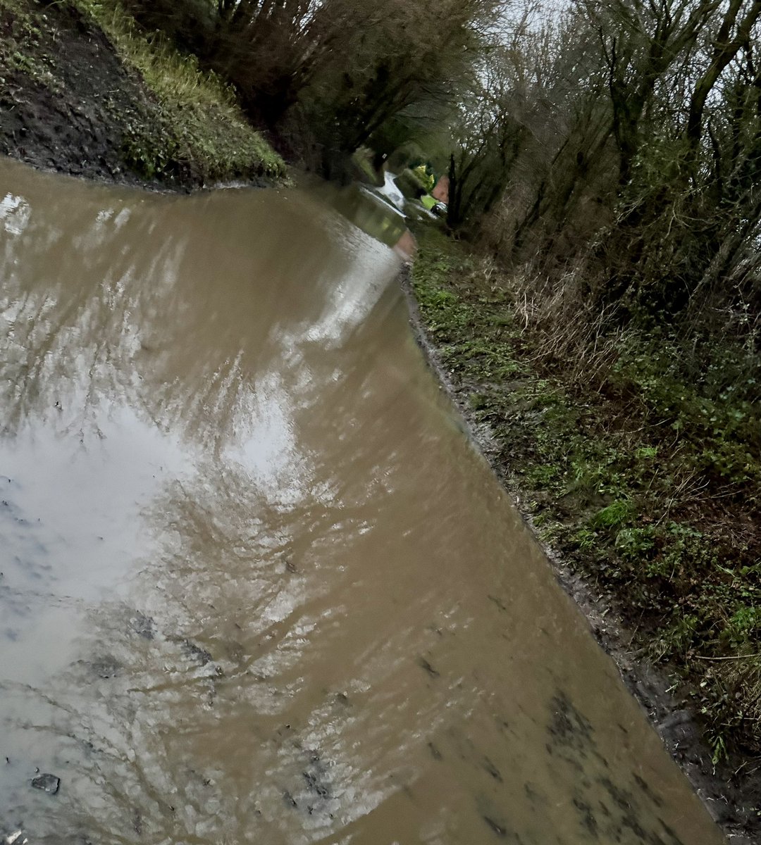 Charlotte Williams (also on Bluesky) tweet media