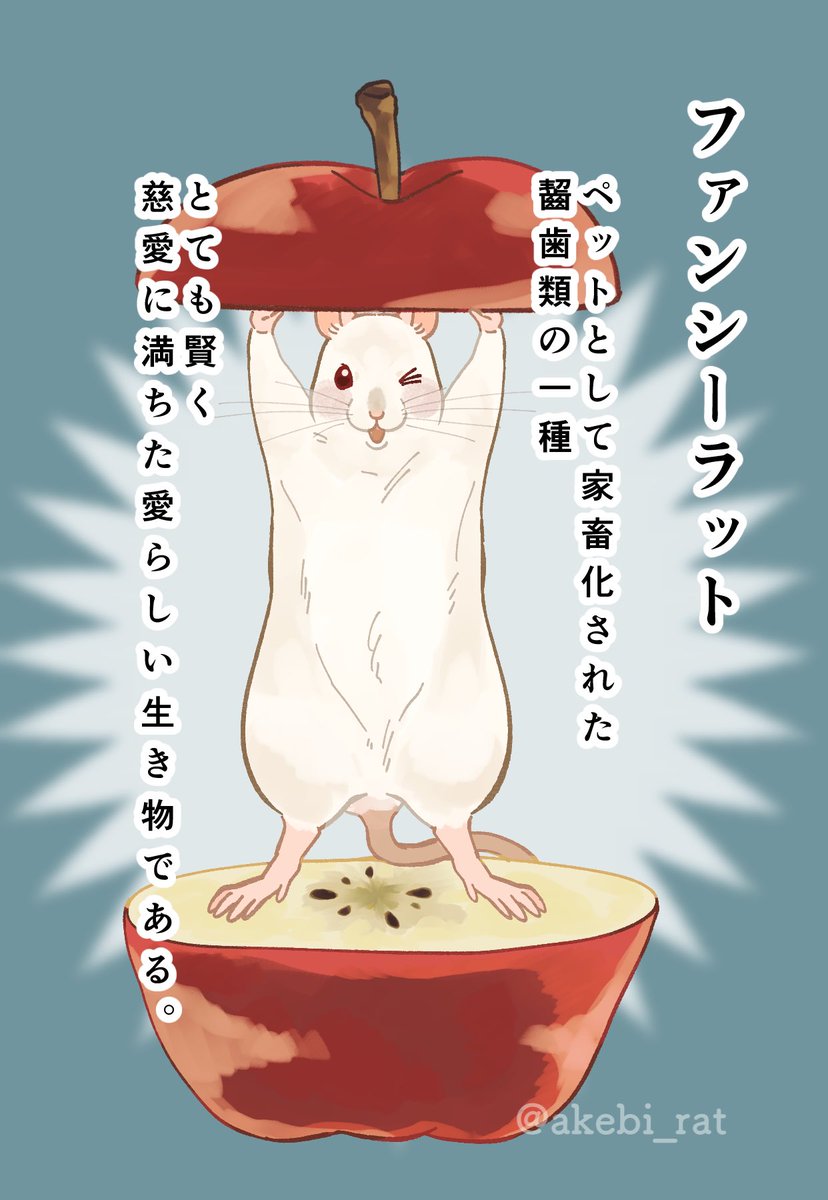 akebi_rat's tweet photo. https://t.co/yhJqxSxTZx
