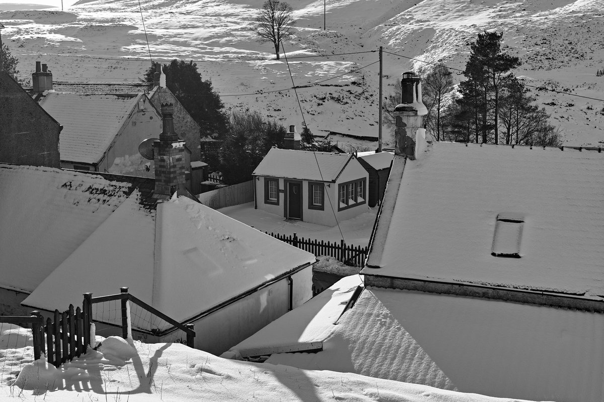 John Irvine tweet media