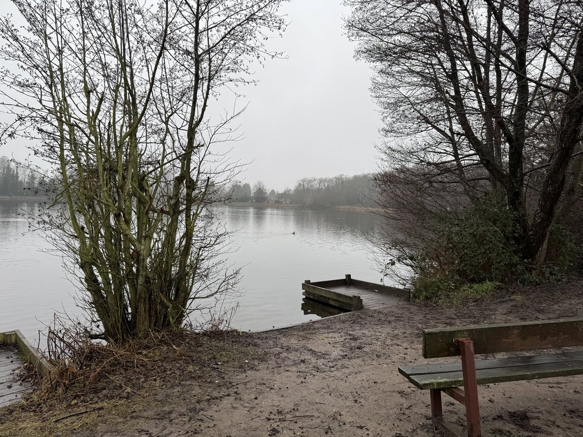 Steven Savage (@saltmarsh77) on Twitter photo Good afternoon at Himley and <a href="/baggeridgepark/">Baggeridge Park</a> with redpoll at Bag Pool, kingfisher, grey wag, treecreeper at Lower Wishing Pool and goosander, 4 x pochard Great Lake Good afternoon at Himley and <a href="/baggeridgepark/">Baggeridge Park</a> with redpoll at Bag Pool, kingfisher, grey wag, treecreeper at Lower Wishing Pool and goosander, 4 x pochard Great Lake