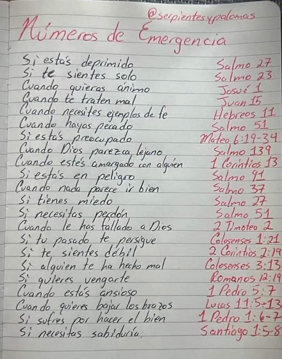 ElArtesanador's tweet photo. @EnsedeCiencia https://t.co/NBtP1yZ8YA