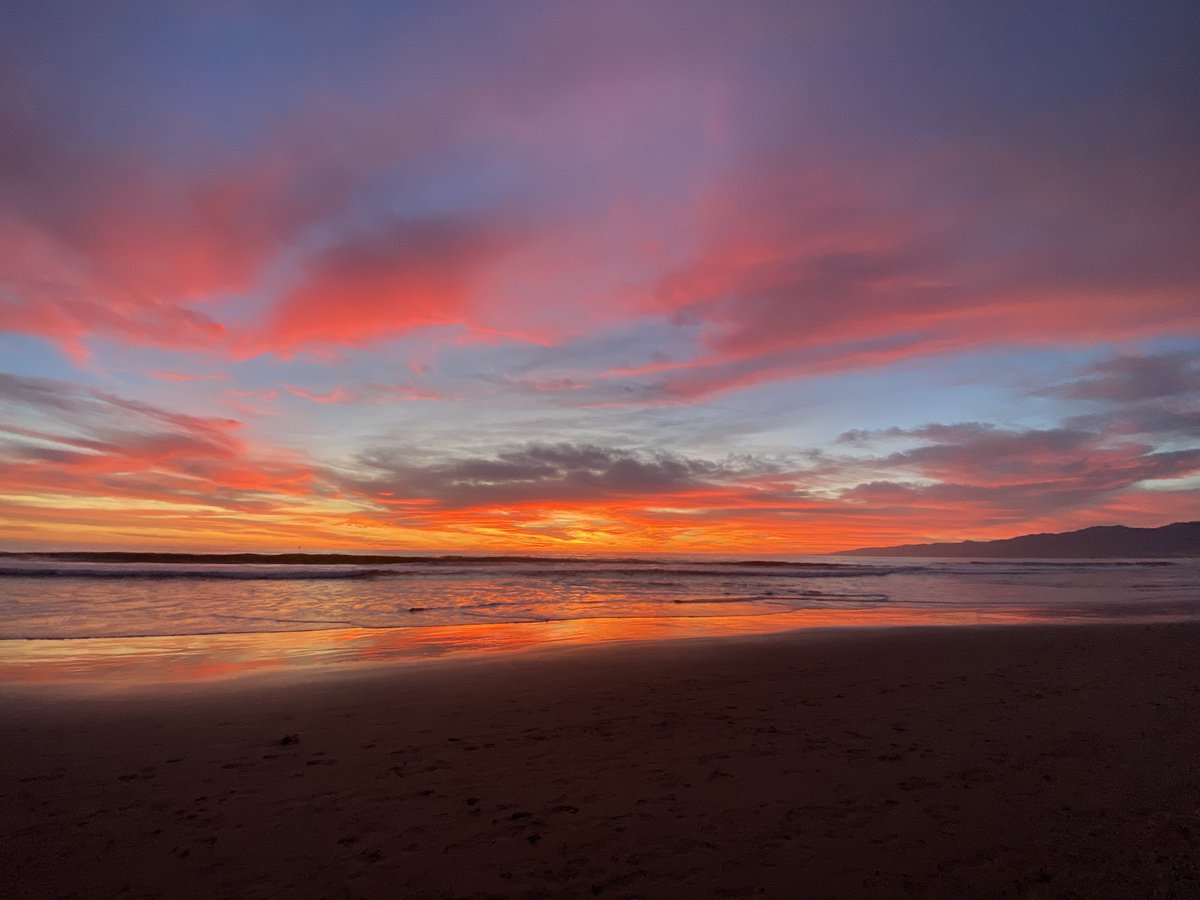 Ashley Ashida tweet media