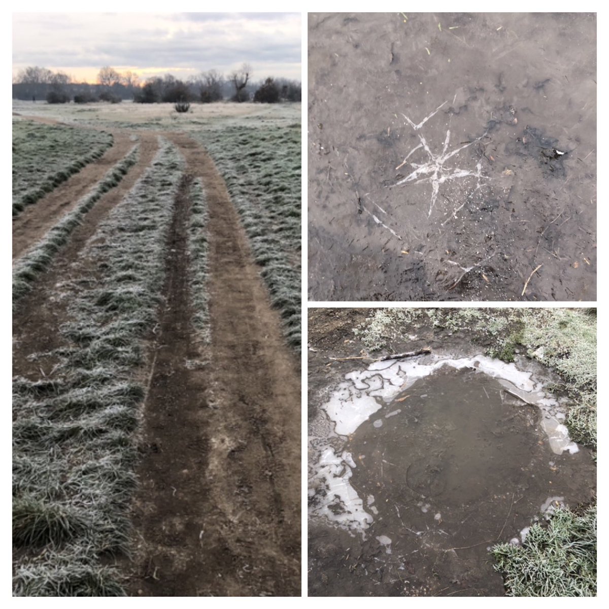 Kicking off 2025 with a couple of runs ⬇️new years day #Parkrun thanks to our volunteers a 🏊🏼‍♀️and 🏋🏼‍♀️ … will be transitioning over  to BlueSky <a href="/triciahan/">Tricia Han</a> do come join😊 #NHS1000miles