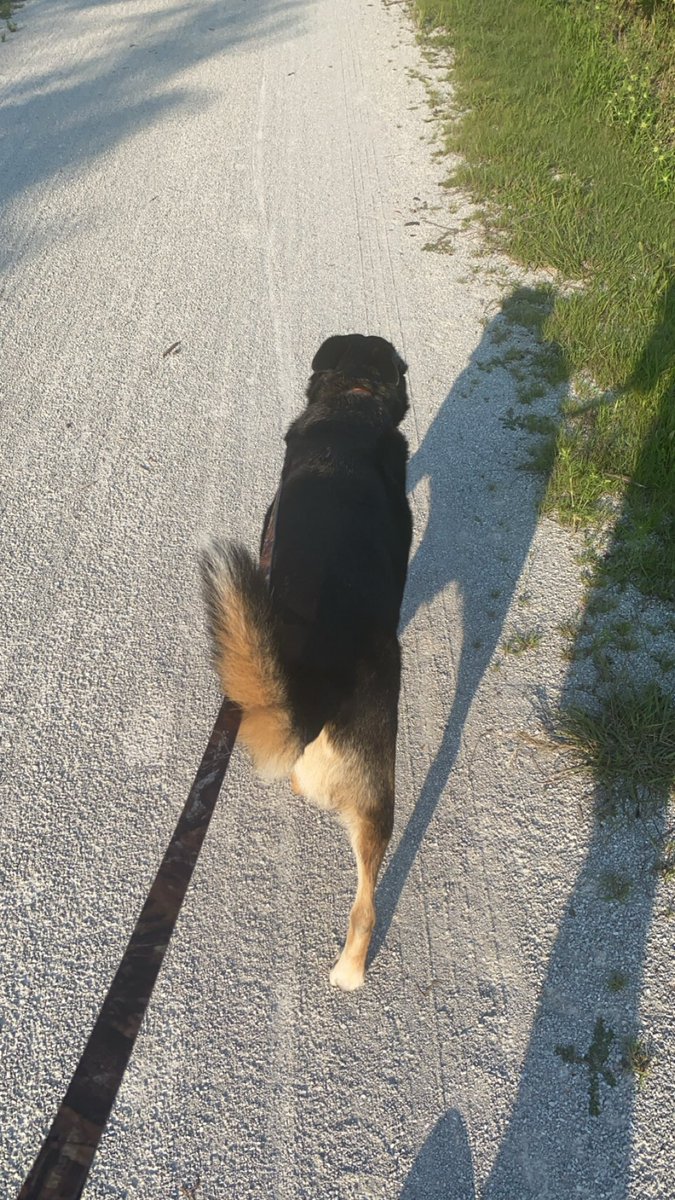 Biphilus30 tweet media