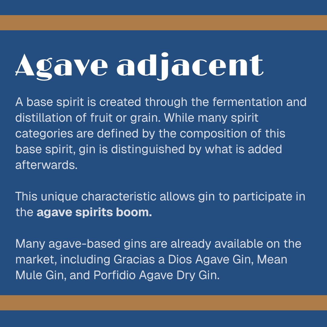 Let's take a look at three things happening in the world of spirits and gin is well positioned to be part of things in 2025!

#GINisIN
#ginTrends
#Ginin2025
#LookingForward