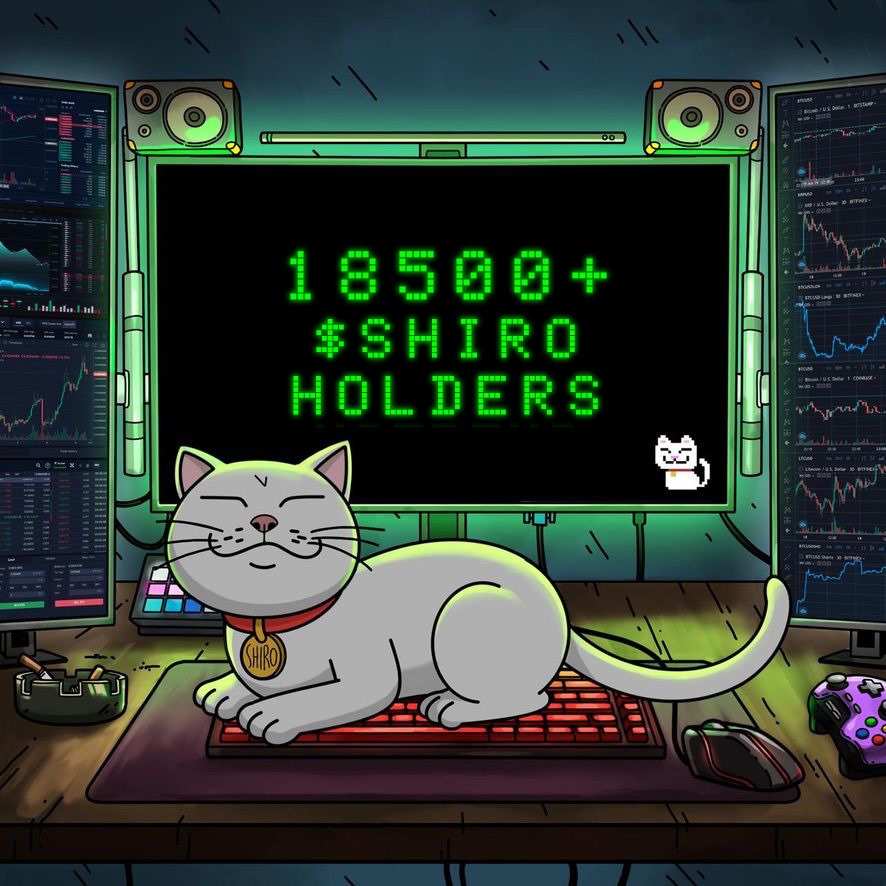 Shiro Neko tweet media