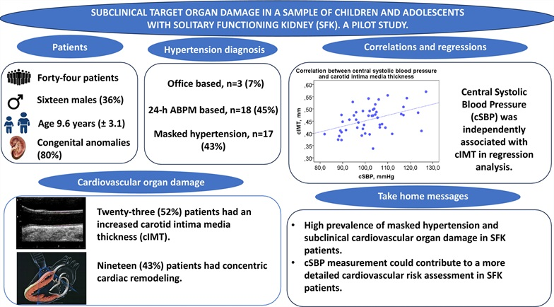 ππ¨π¬ππ©π‘ π
π₯π²π§π§, ππ (@drjosflynn) on Twitter photo Subclinical target organ damage in a sample of children and adolescents with solitary functioning kidney. <a href="/IntPedHTN/">International Pediatric Hypertension Association</a> <a href="/ASPNeph/">American Society of Pediatric Nephrology</a> <a href="/IPNA_PedNeph/">IPNA Ped Nephrology</a>
journals.lww.com/jhypertension/β¦ Subclinical target organ damage in a sample of children and adolescents with solitary functioning kidney. <a href="/IntPedHTN/">International Pediatric Hypertension Association</a> <a href="/ASPNeph/">American Society of Pediatric Nephrology</a> <a href="/IPNA_PedNeph/">IPNA Ped Nephrology</a>
journals.lww.com/jhypertension/β¦