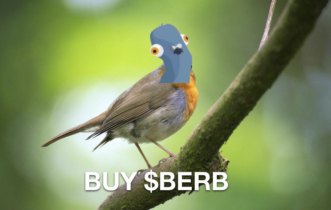 $BERB 🐦

vestige.fi/asset/26078475…
#algofam #algorand