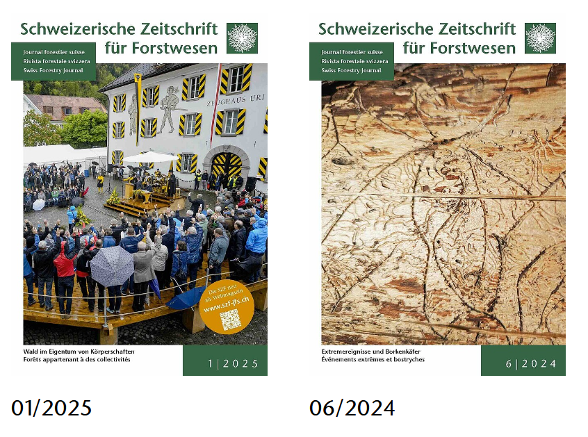 Die Schweizerische Zeitschrift für Forstwesen ist ab Beginn des Jahres 2025 auch online verfügbar.  Entdecken Sie das neue Angebot der SZF. Viel Spass bei der Lektüre!
#SZF #Waldbiodiversität #SchweizerForstverein #forstverein #wald
szf-jfs.ch/de/