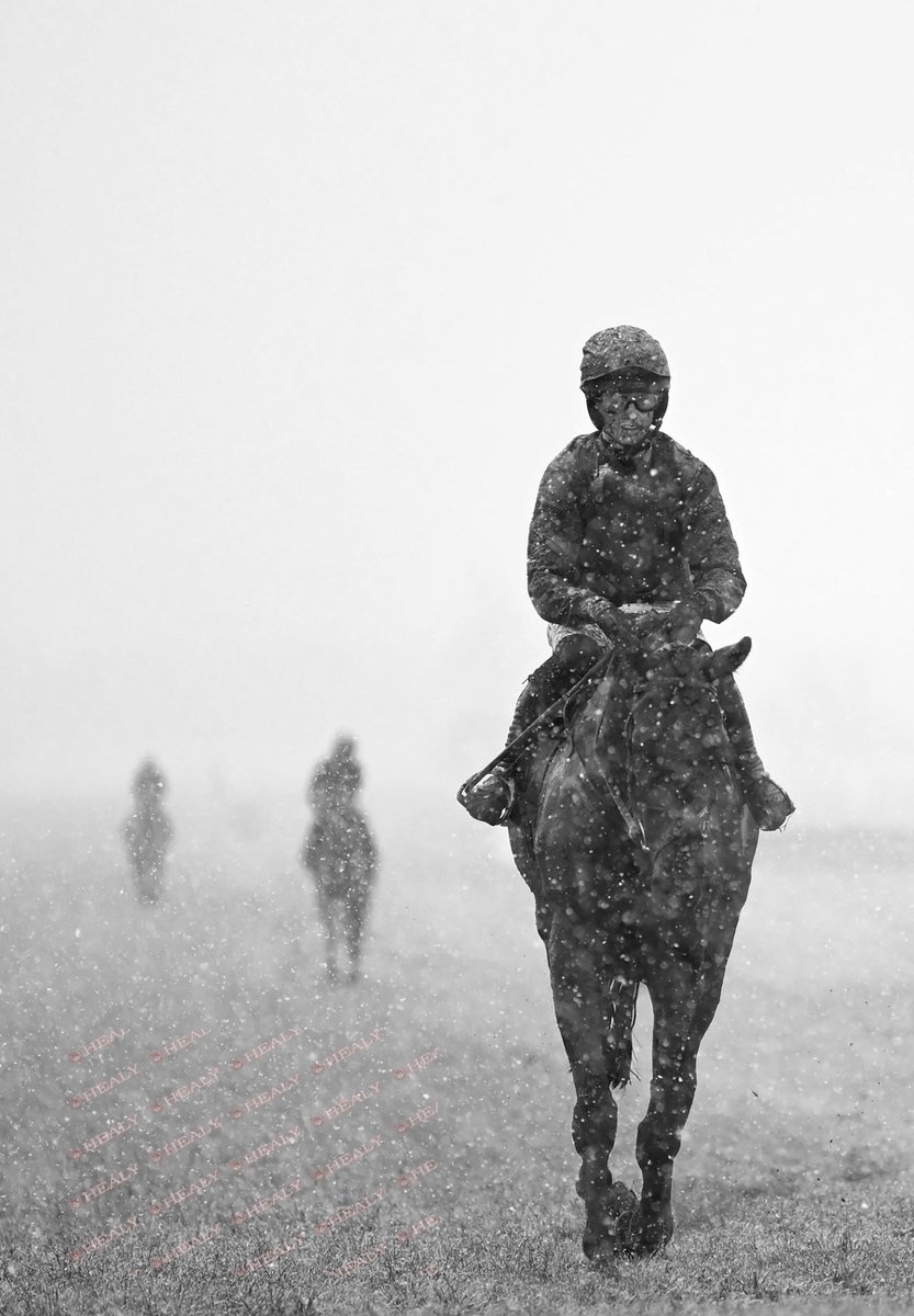 Pat Healy tweet media