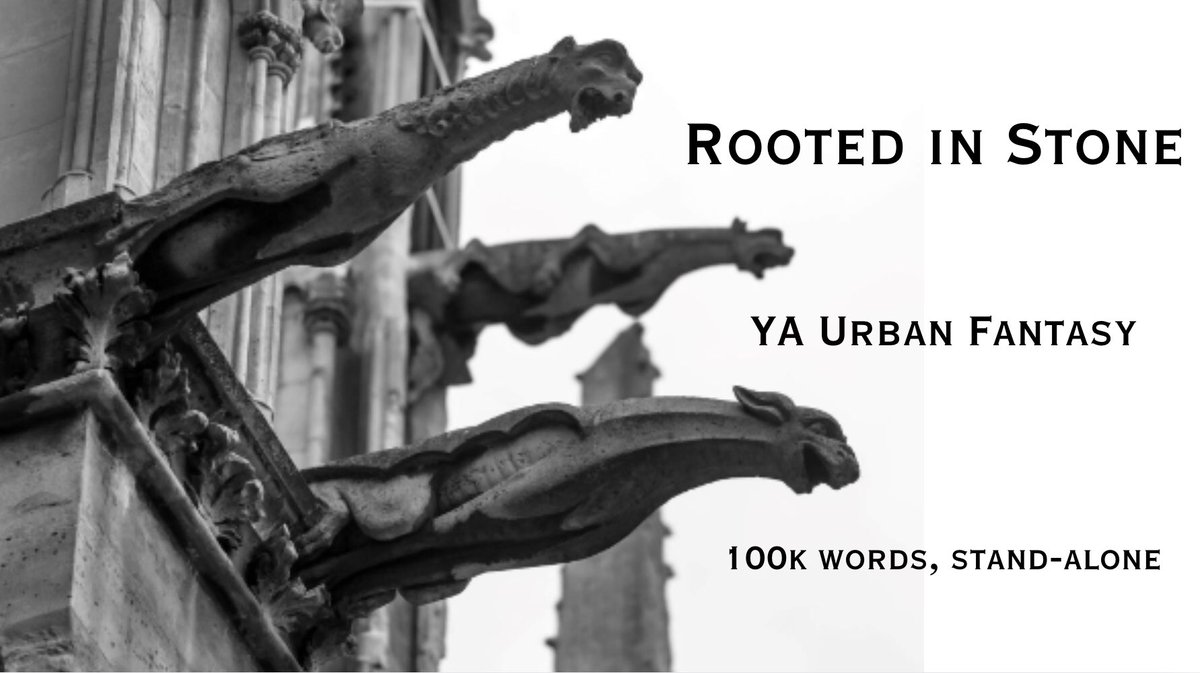 Scarlet Mitchell tweet media