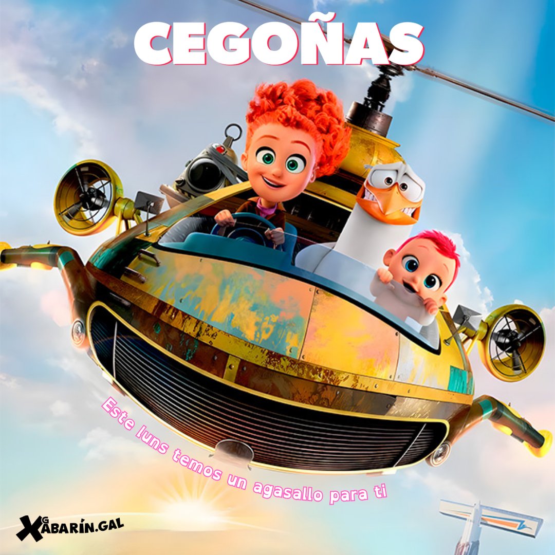 🐗 Mañá chegan unhas #Cegoñas, pero a ningún campanario, van aniñar en xabarin.gal e poderás velas, de balde e sen publicidade, aquí mesmiño 👉 xabarin.gal/videos/categor…