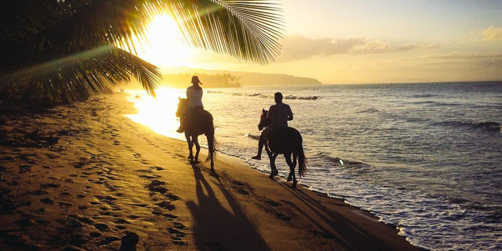 VillaMilagroMX's tweet image. Golden hour and ocean breezes 🌅🐴 Explore paradise on horseback at Villa Milagro. Where will your next adventure take you? 🌊✨ #VillaMilagro #BeachAdventures #ParadiseFound