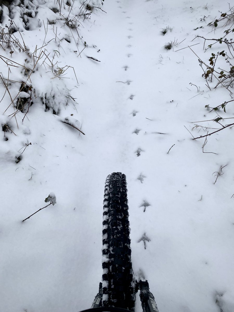 Out this morning following directions… 😁
#snowride #mtb #birdphotography #peakdistrictmtb
