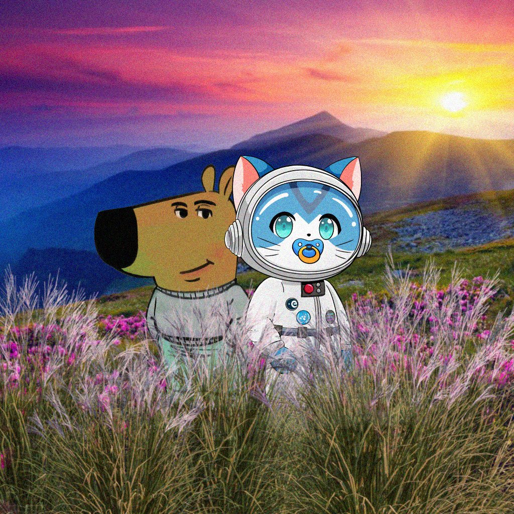 BabyWen CTO tweet media