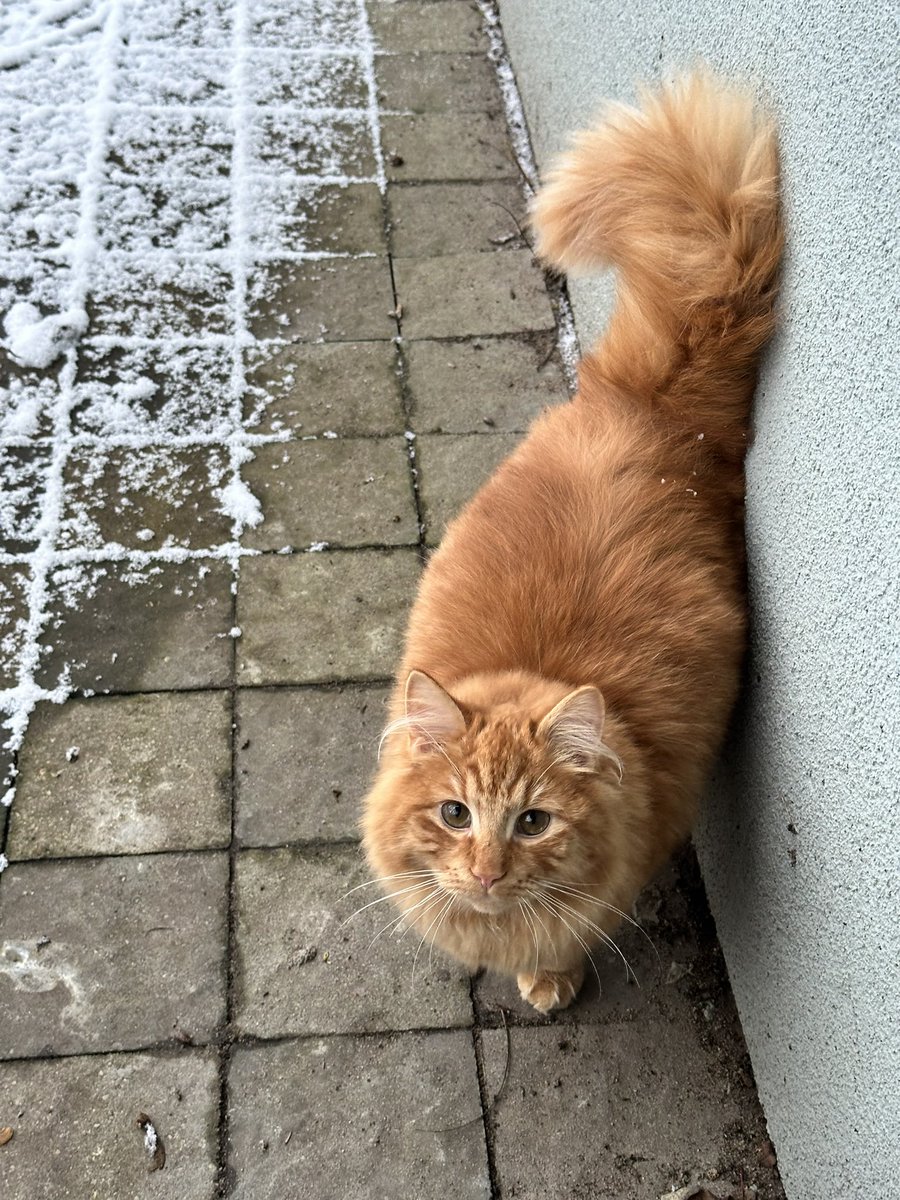 Lelde Ardava 💙💛 tweet media