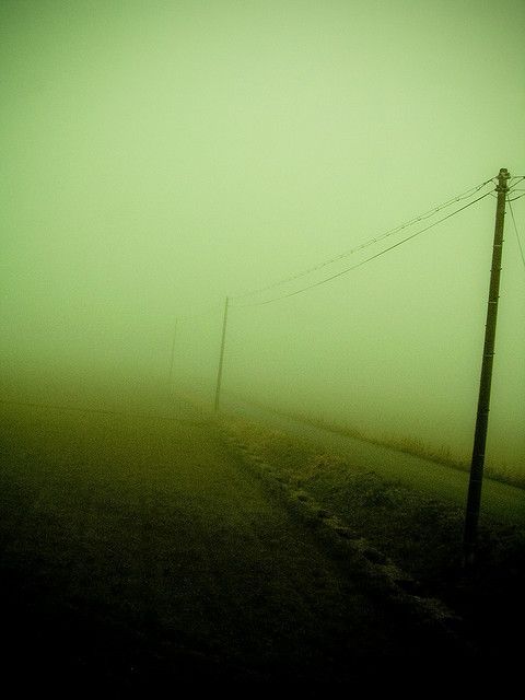 <a href="/a_saba78/">AnnaSaba©️#VersiPerMe</a> Dans l’interminable
Ennui de la plaine,
La neige incertaine
Luit comme du sable.
Le ciel est de cuivre
Sans lueur aucune,
On croirait voir vivre
Et mourir la lune.

Verlaine