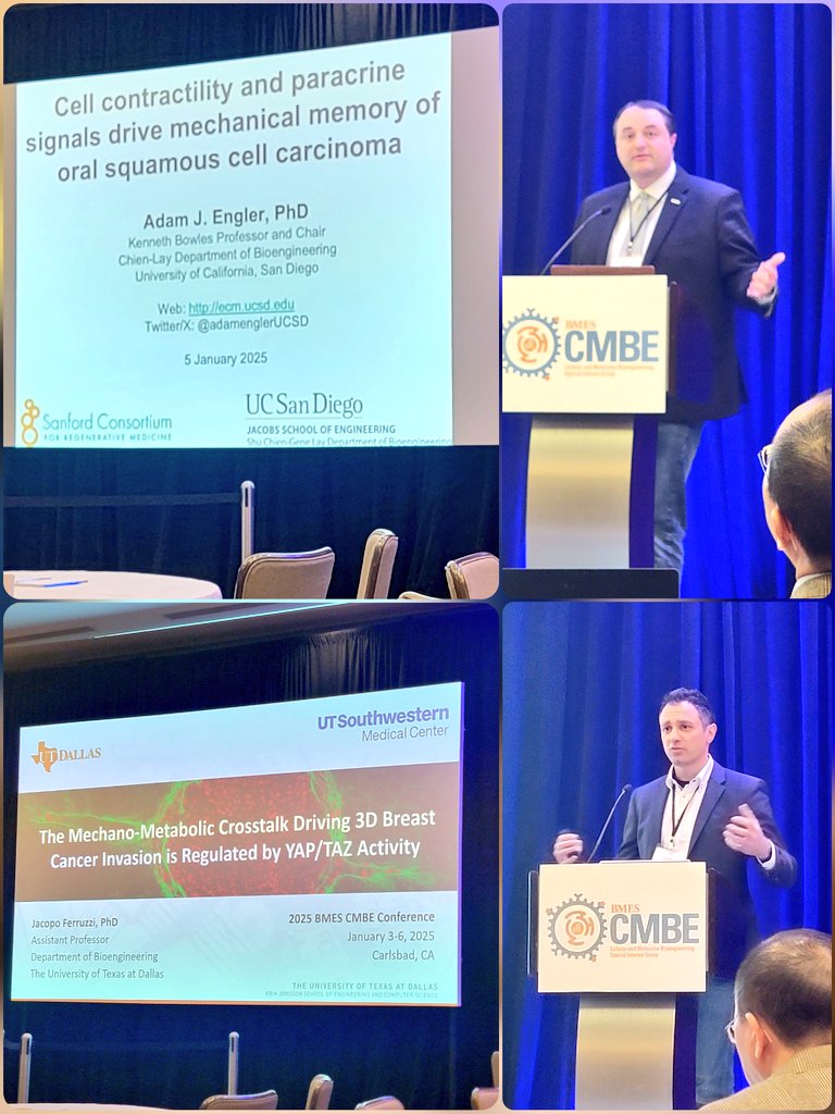 Is your brain runningcrazy with new ideas? It should after the talks of Dr. <a href="/AdamEnglerUCSD/">Adam J. Engler</a> on mechanical memory of oral squamous cell carcinoma and Dr. <a href="/jacopoferruzzi/">Jacopo Ferruzzi</a> on the regulation of 3D breast cancer invasion by YAP/TAZ #cmbe2025