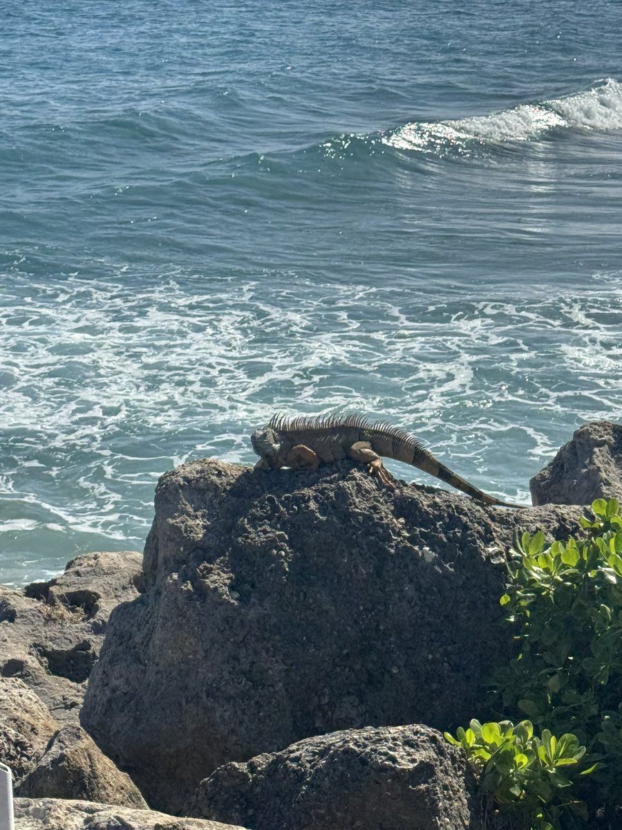 Alex Sedlak tweet media