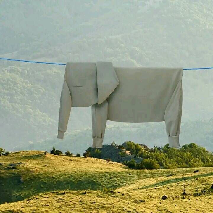 The Museum of Curiosities tweet media