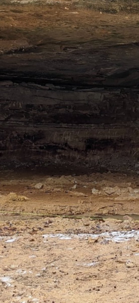 Peach Cobbs tweet media