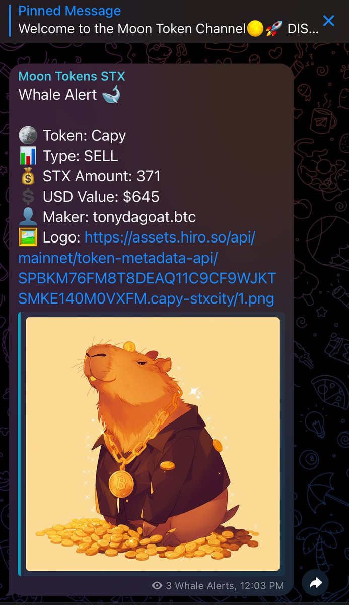 If you hold 100,000 $Bucket, here’s what you have access to🪣🔥

1. Moon Tokens - Our bot scans every token on <a href="/stxcity/">STX CITY</a> and determines the best ones for profit. Current success rate is about 70%
2. Whale Transactions - Get notified of all whale transactions on stxcity
3. Bot