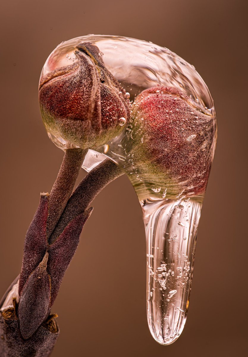 Josh Morgan tweet media