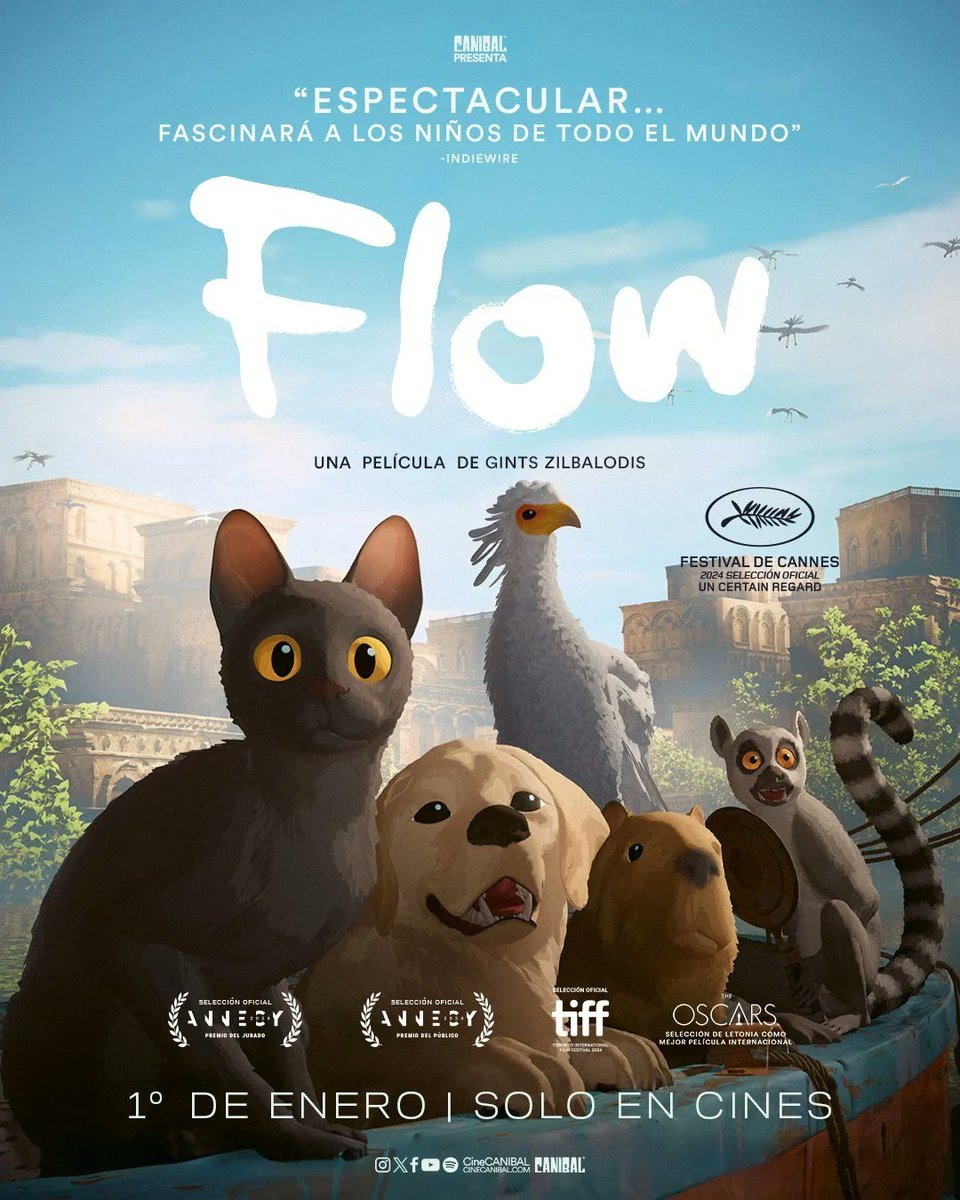 JorgeGomezOrtiz's tweet photo. @goldenglobes So happy about it. "Flow" is art https://t.co/0wRuQnHOFo
