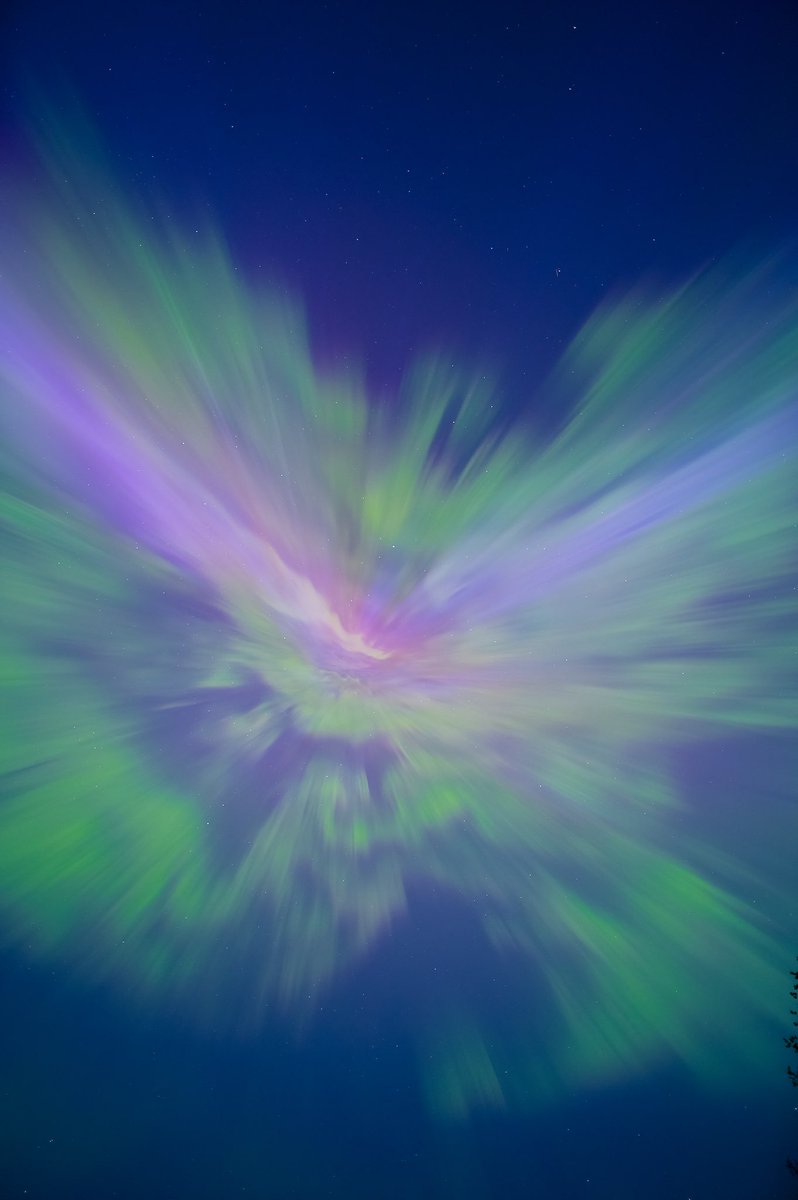 Andrea Girones ⚖️💫 tweet media