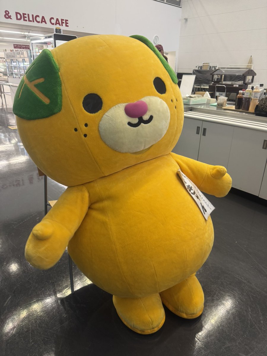 fun_coop's tweet photo. みきゃんさんがはるばる愛媛から飛行機に乗って到着しました🍊

本日みかんを食堂で無料配布します！
  #みきゃん
 #はこだて未来大 https://t.co/VBpIFJdVGz