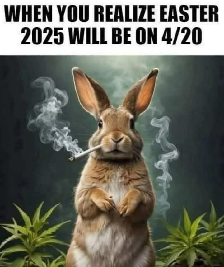 Robert Ravenscroft (@robbysaintdog) on Twitter photo 