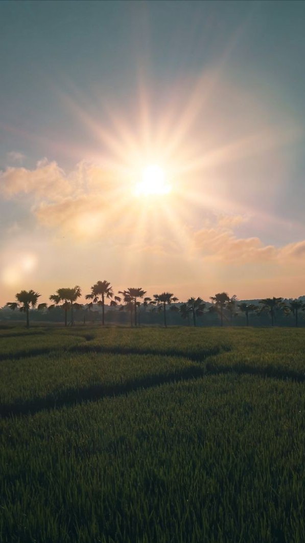 𝗗𝗮𝗺𝗮𝗶

Berjalan dengan hati yang tulus,
Tak ada kepura-puraan dalam setiap langkah,  
Cintailah tanpa syarat,
Tanpa menggantungkan harapan pada yang tak pasti.

1/2

<a href="/AntoniSulton/">Antoni Sulton</a> #piece_of_story 
#love #alwaysforeve #youandme #memories