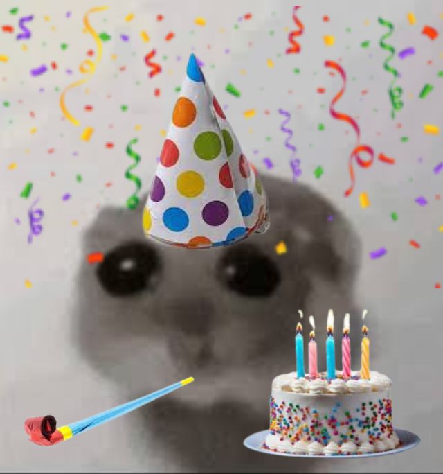 toki_238's tweet image. 아 맞다
저 오늘 생일이야요
이얏호🥳