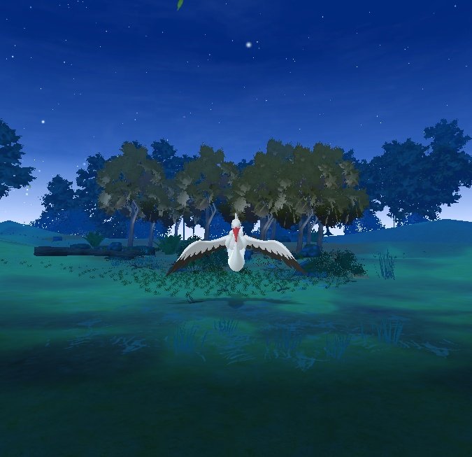 任思麒 Kandice Z. ☮️✌🏽🕊✊🏽 tweet media