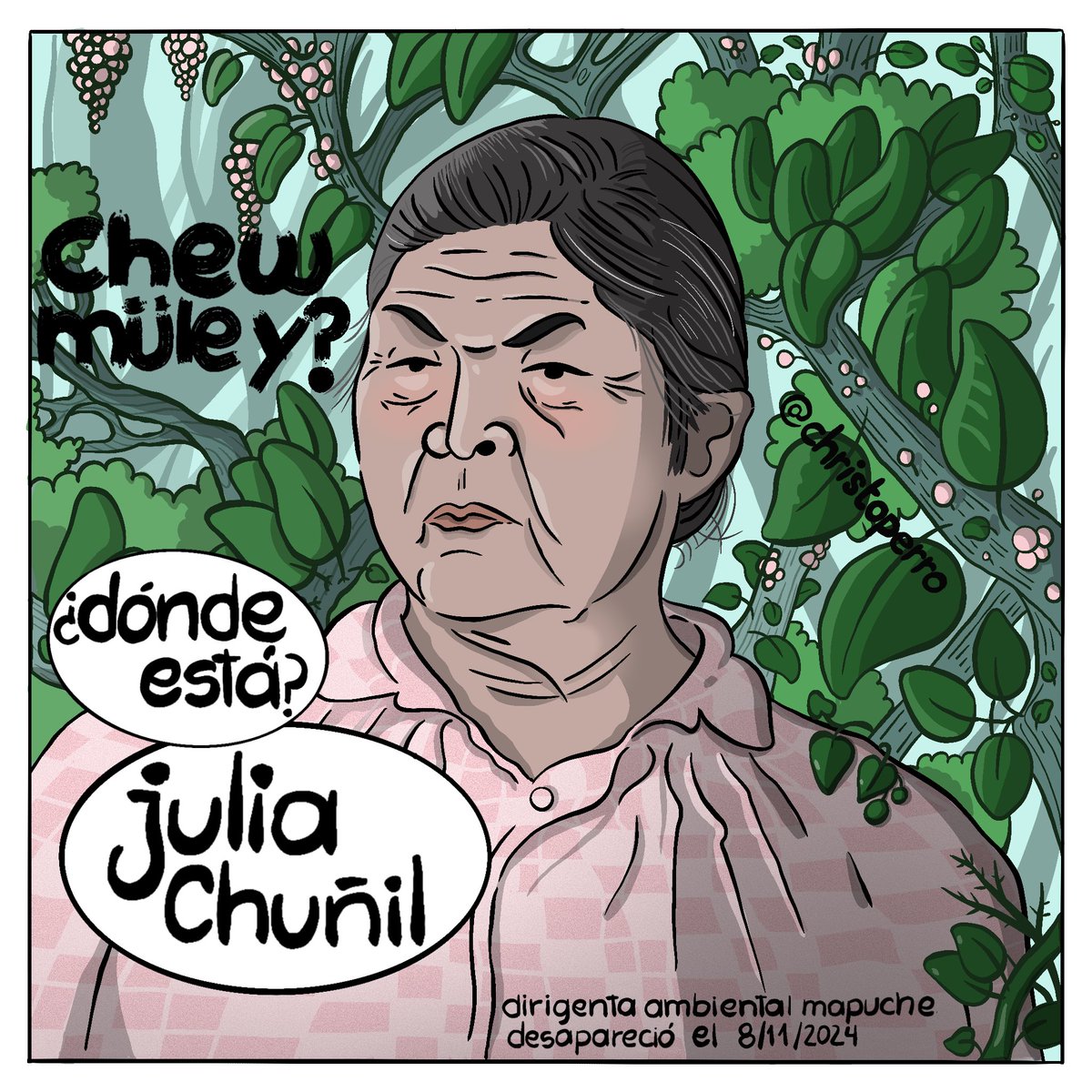 Donde está Julia Chuñil